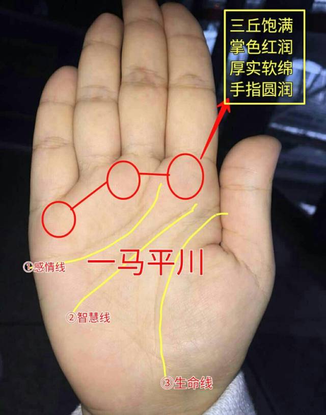 第二,此女性手相为断掌纹理,手掌中心形成三角纹.