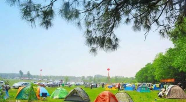 森呼吸丨东海青松岭森林公园 温泉 水晶市场休闲1日游