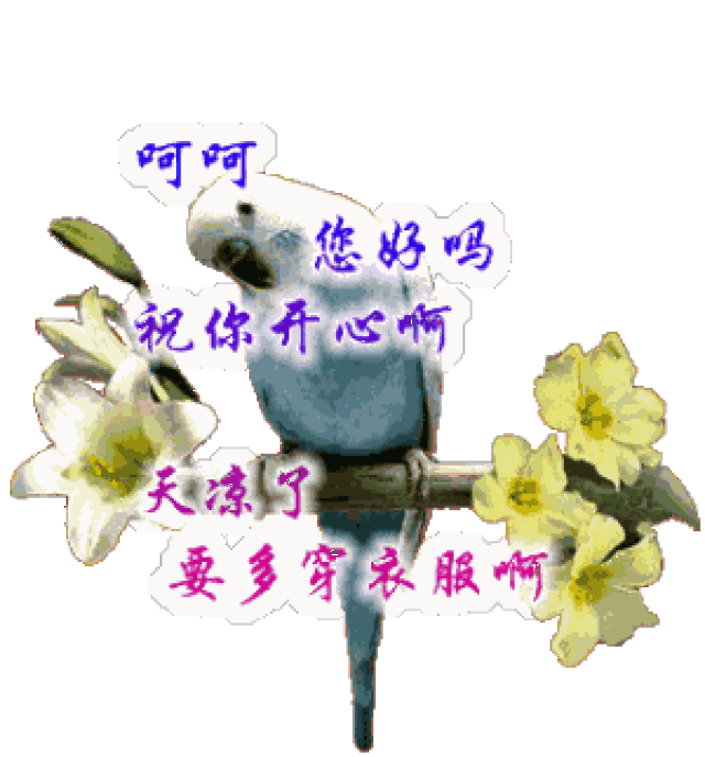 福利到了,适合中老年朋友微信聊天的表情包整理全了,快点收藏!