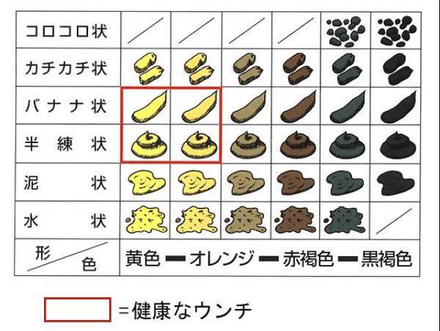 从大便的颜色和形状,看你是否健康?