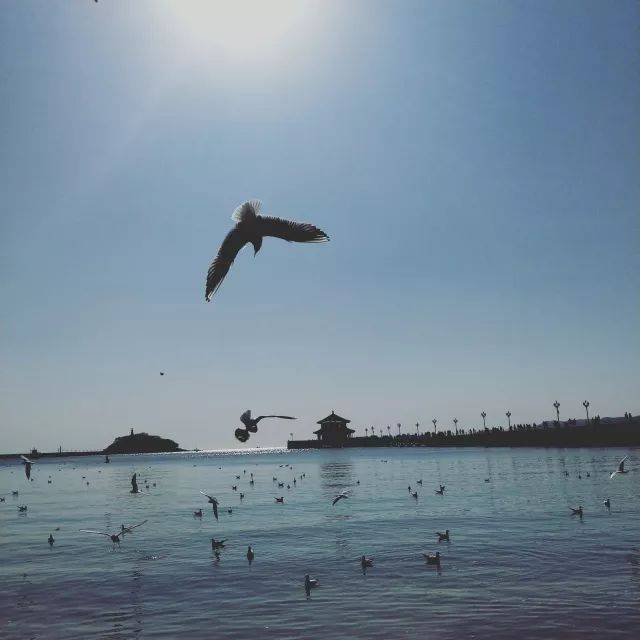 研学旅行学生日记