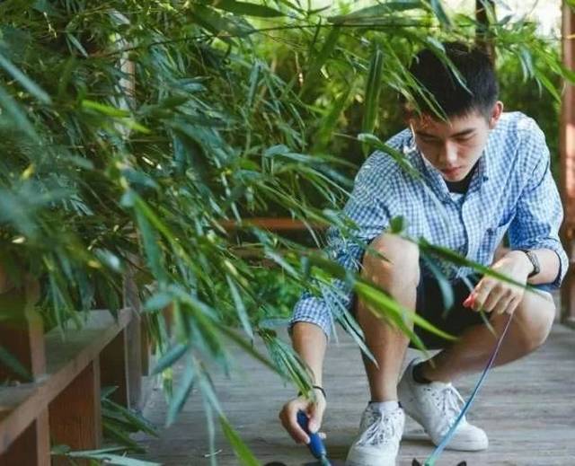 范冰冰弟弟范丞丞即将出道，颜值超高却被质疑整容…原来朴灿