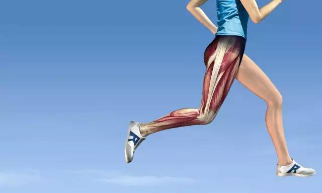 一般人跑步时喜欢将意念集中在大腿上, 以大腿带动髋, 而不是以髋为轴