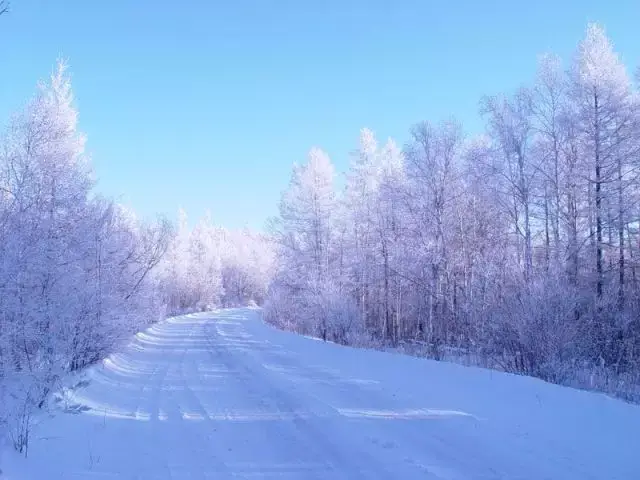 中国冷极根河:这里一年四季风景如画,冬天零下58℃却有不结冰的奇迹