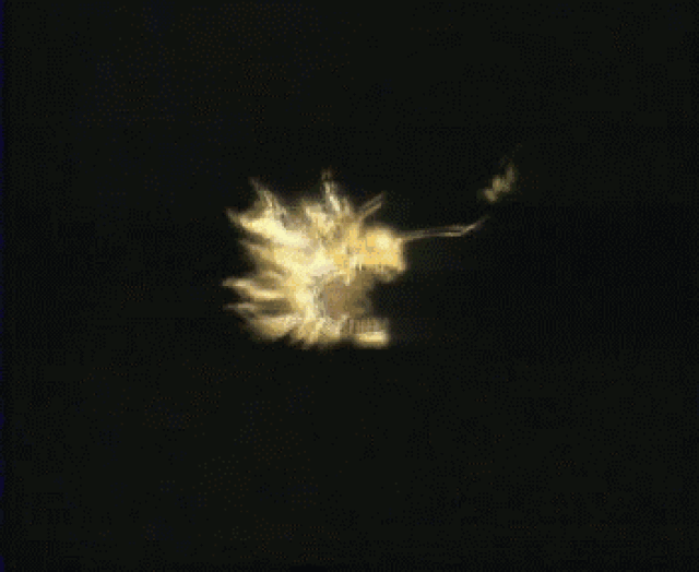 背景 壁纸 皮肤 星空 宇宙 桌面 352_288 gif 动态图 动图