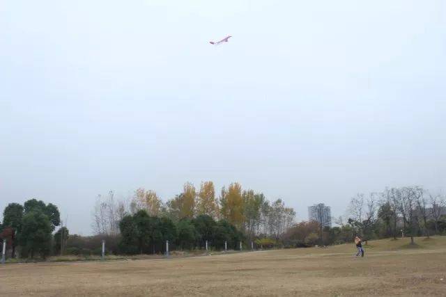 嘉定校区第五届“枫林菁英荟”成功举办