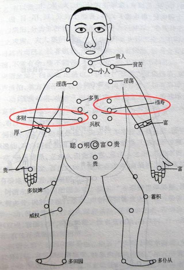 胸部有吉痣的人财运旺 胸部乳上:乳上为财源,乳下为财库.