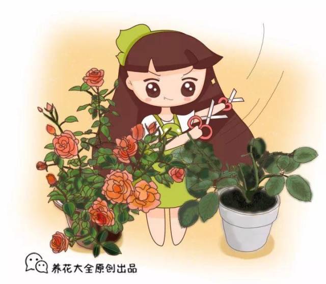 怎么才能让自己越来越旺 e60cc1ba9f2e4fbba8176a48f2e7c703.jpeg
