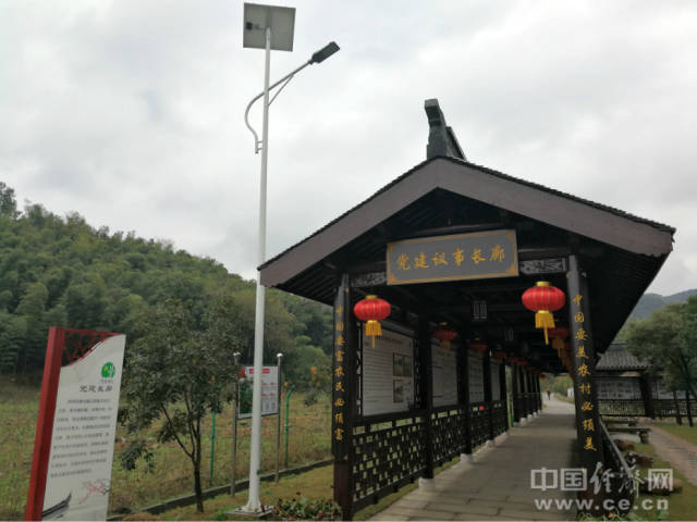 探访浙江上虞桃园村"桃花源"中的党建风景线