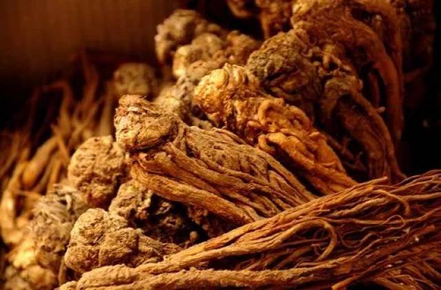 v做法4种做法的内含血锡纸!补气食谱电饭锅中药常见的排骨图片