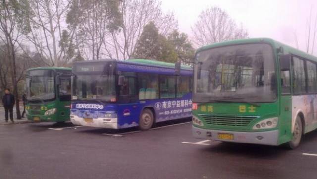 雅高巴士正式和江南公交合并 南京从此无雅高_手机搜狐网