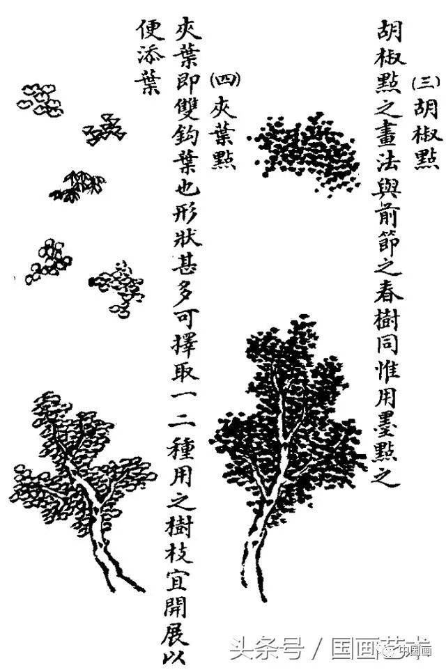 国画入门之树干,树枝,树叶,竹芦水草画法详解