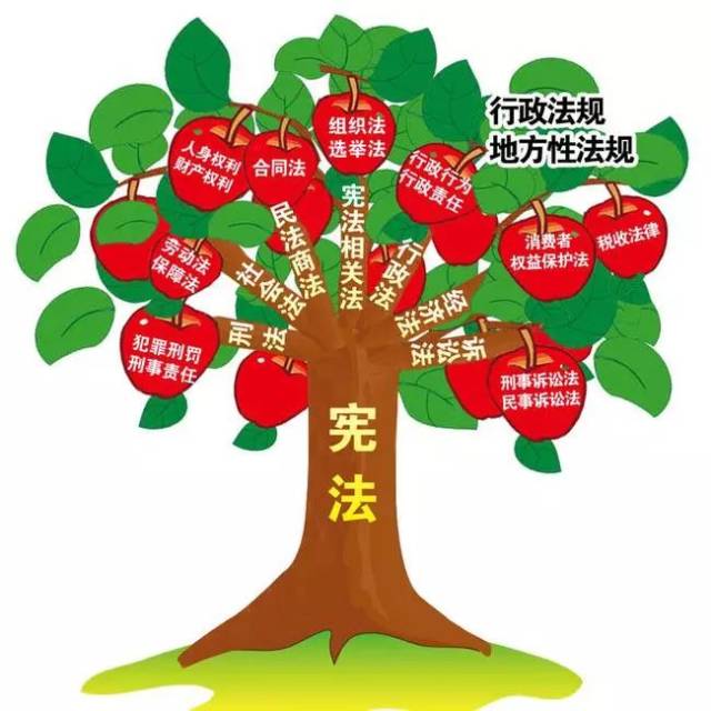 我国宪法的社会作用主要表现在以下几个方面: ①在组织国家政权方面