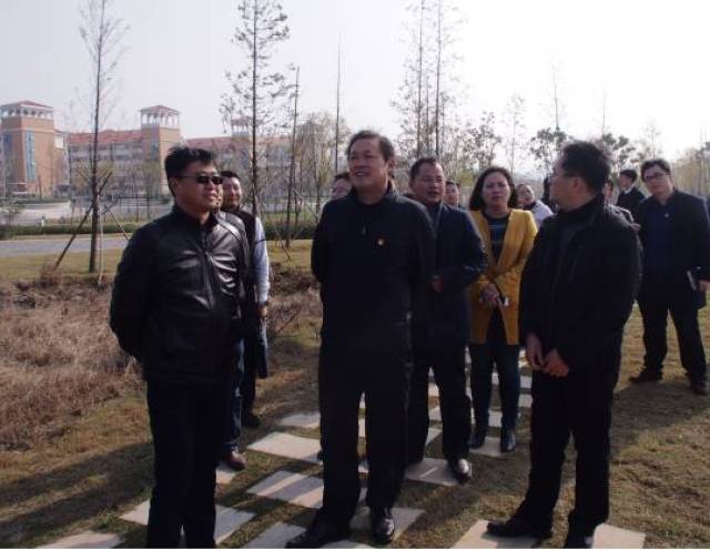 【京东动态】市人民政府秘书长,办公厅党组书记吴长金一行莅临我镇