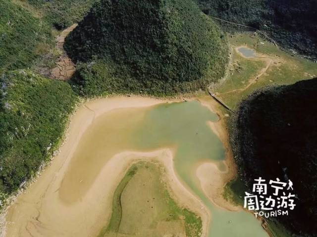 南宁更望湖的荞麦花开啦!想去玩的赶紧看!