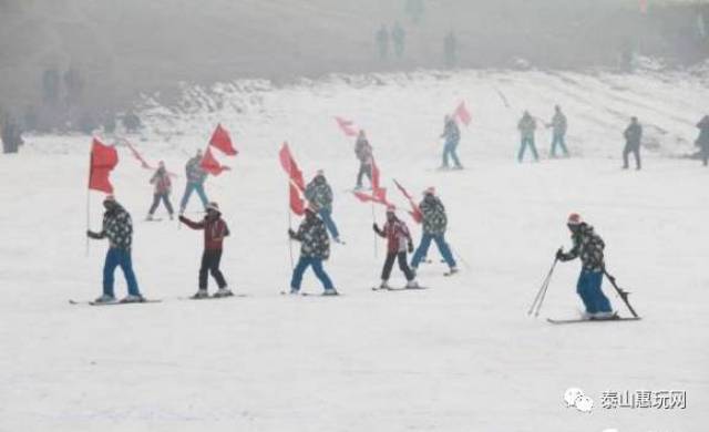 9元抢购郯城望海楼四季慢城 滑雪套票,在这里,满足