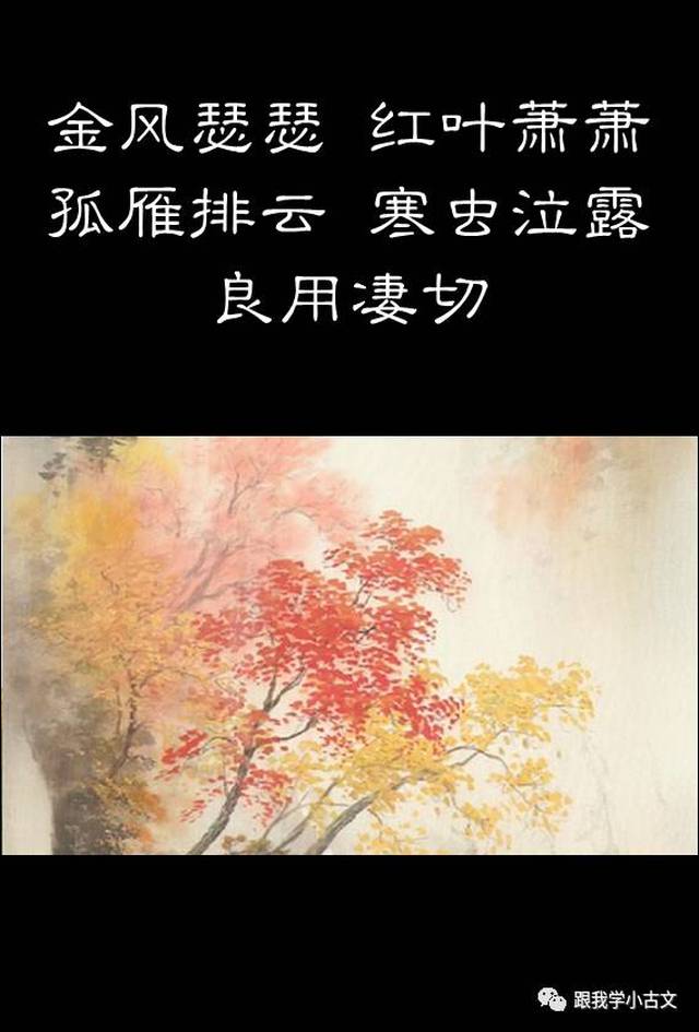 【跟我读小古文】83.秋