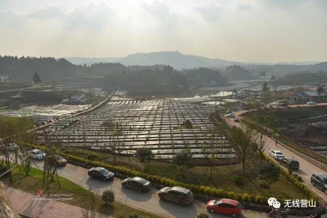 营山县各乡常住人口_营山县青山乡图片