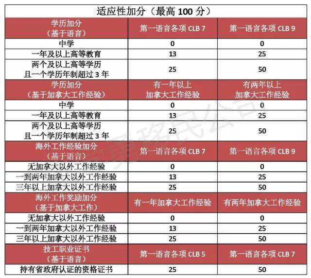 其他加分项