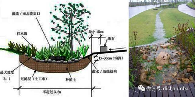 下凹式绿地是一种高程低于周围路面的公共绿地,也称低势绿地.