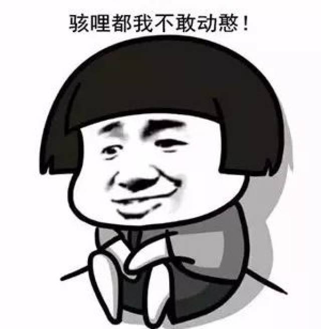 你们还差一样最宝贵的东西, 它就是表情包世界的巅峰. . . .