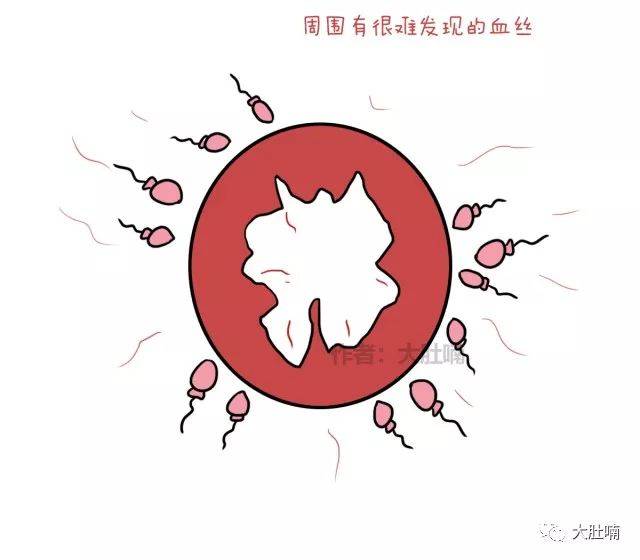 "老婆怀胎十月还是处,我的直男心碎了一地"