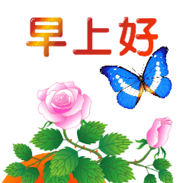 早上好图片 早安祝福语录_手机搜狐网
