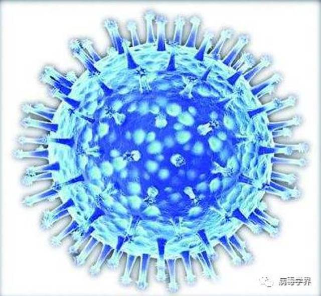 npj vaccines:新城疫病毒做载体构建重组h5禽流感疫苗