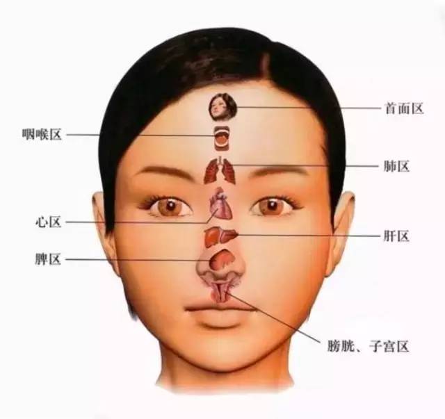 中医认为五官与脏腑器官的关系极为密切,通过了解五官的病变就可以