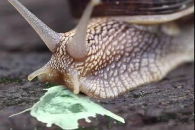 dd65c5d58bed448e8413b3ce5c888c0c.jpeg
