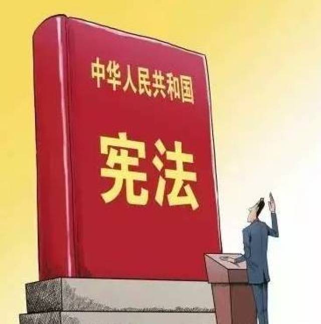 宪法日,我市学生都在做这件事