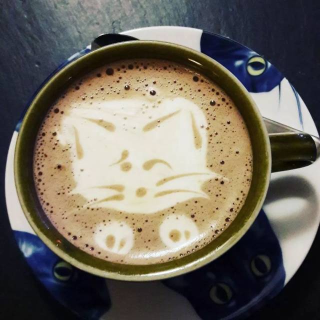 听说芬兰人民有社交障碍? 自从有猫就没在怕…