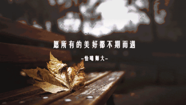 500_281 gif 动态图 动图