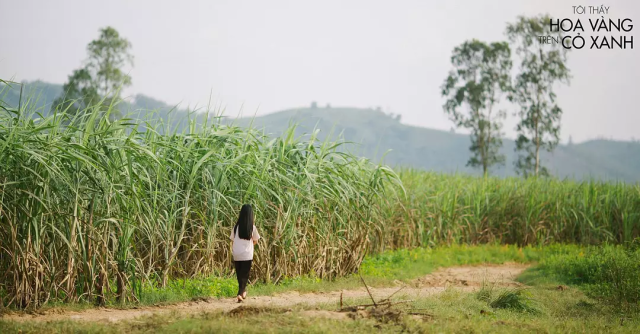 这部评分8.2的越南电影,讲的却是我们小时候的