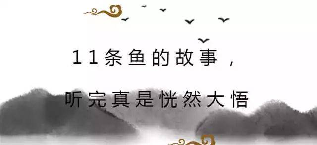 11条鱼的故事,听完真是恍然大悟