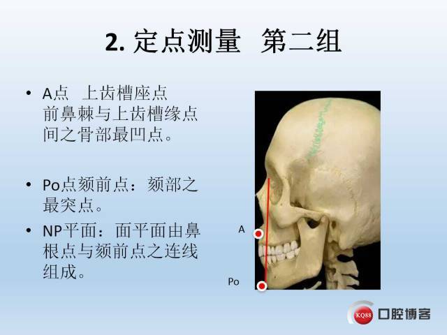 几何画板应用于头影测量入门