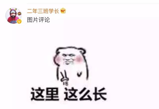 用语为题材打造的搞笑表情,很多的朋友问这不是去幼儿园的车是什么梗
