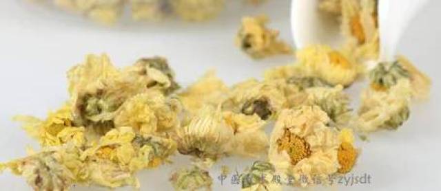 杭白菊和贡菊有区别,泡水您可别放错!