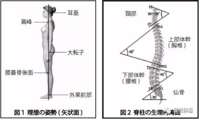 什么是正确的姿势呢?之二