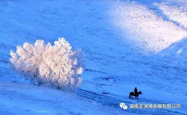 《终南望余雪》 千里黄云白日曛,北风吹雁雪纷纷.