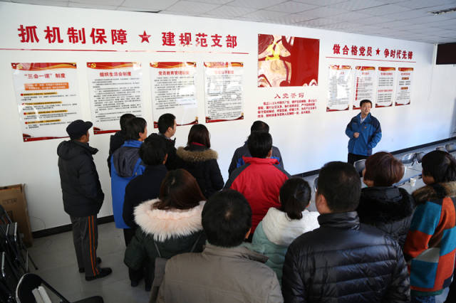 【支部规范化】以点带面 扎实推进--九渡河镇