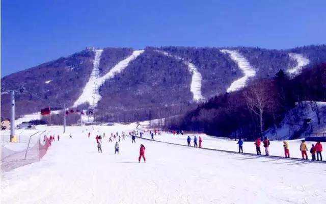徐州大景山滑雪场总面积达 6万余平方米,拥有滑雪道,雪圈道,雪地摩托