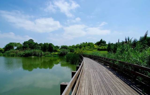 3天2晚|住进中国爱情第一湾畅享海风,湿地湖景和最浪漫厦门慢生活