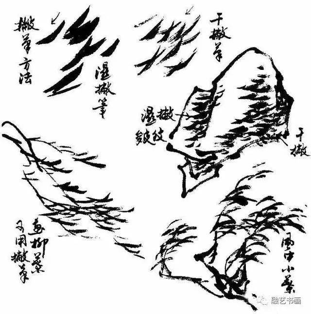 写意花鸟画笔墨技法:笔锋使用详解