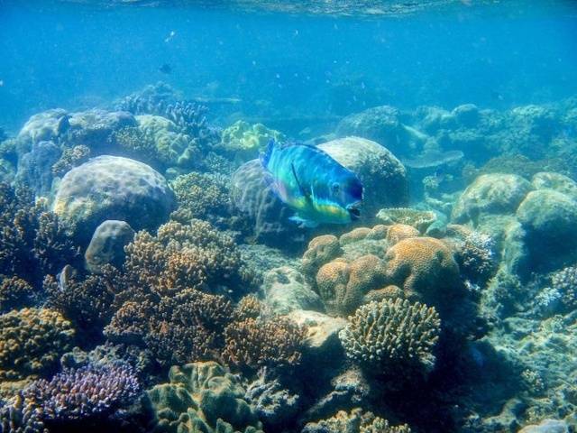 【新闻】海洋国家实验室:研究海底冷泉有了专用ct