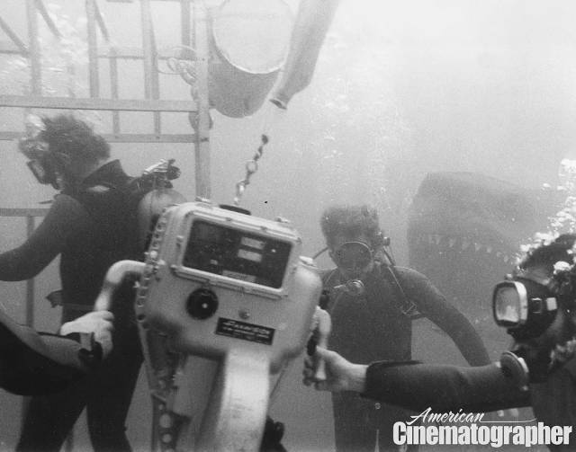 正在热映 |《鲨海》年度最刺激电影,告诉你真正