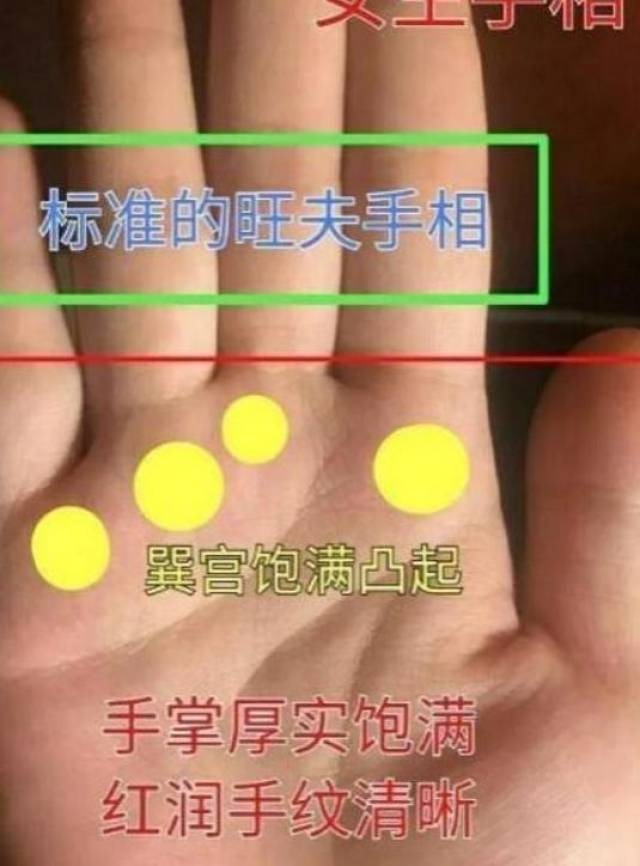 这种手相是标准的旺夫手相!