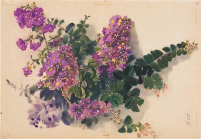 图说:王碧梧 《紫薇花》 水彩 纸本 1982年 45×64.6cm