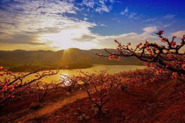 攀枝花·旅游攻略丨@所有人:攀枝花初冬色彩盛宴正开锣!不尝后悔!
