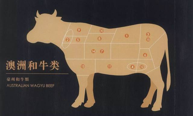 菜单上有很详细的牛肉各个部位分解,同样我们也进行了亲测